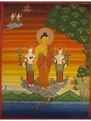 Standing Buddha with Boddhisattvas (Brocadeless Thangka)