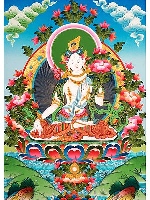 Superfine Tibetan Buddhist Goddess White Tara - The All-Embracing Compassionate Vision