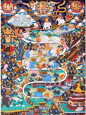 The Nine Progressive Stages of Mental Development (According to Shamatha Meditation Practice) Tibetan Buddhist