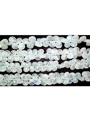 Plain Rainbow Moonstone Briolette