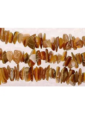 Shell Chips