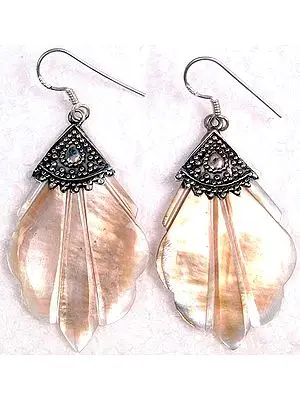 Shell Earrings