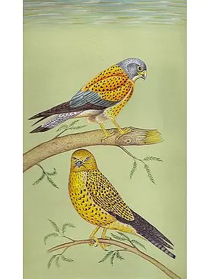 Pair of Eagles