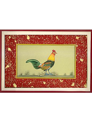 Portrait of a Cock