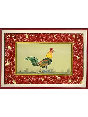 Portrait of a Cock