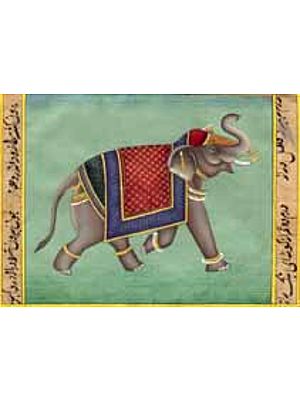 Decorated Elephant