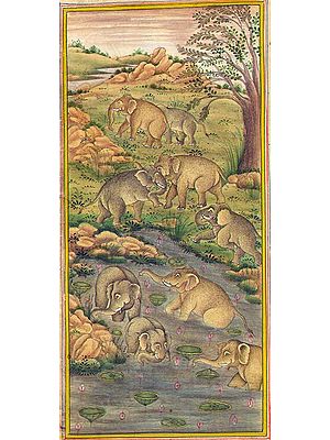 Elephants in a Lotus Pond