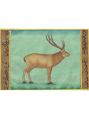 Barasingha (Swamp Deer) Watercolor Painting on Paper