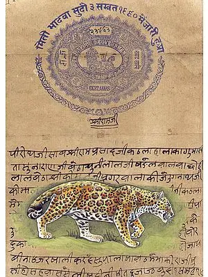 Leopard