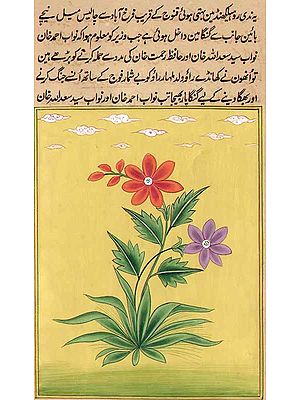 Mughal Flower