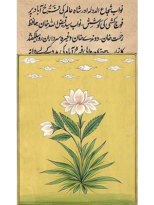 Mughal Flower
