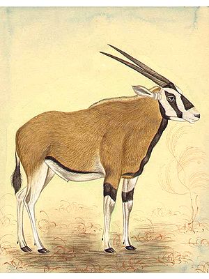 Out of God's Color Palette