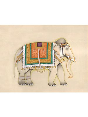 Study of a ‘Huge and Strange Looking Animal’