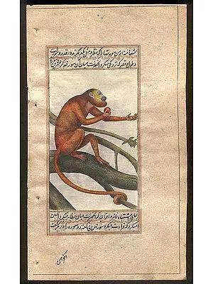 Simian