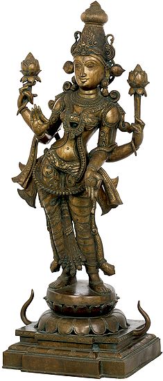 Padmavati Shri Devi, Devi Lotus-Lakshmi