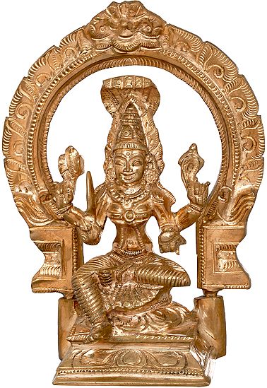 Compact Devi Mariamman With Aureole