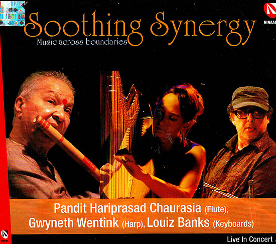 Soothing Synergy: Music Across Boundaries (Audio CD)