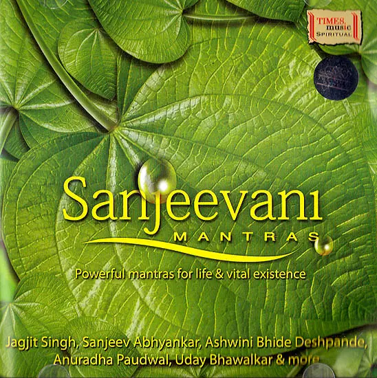 Sanjeevani Mantras: Powerful Mantras for Life & Vital Existence (Auido CD)