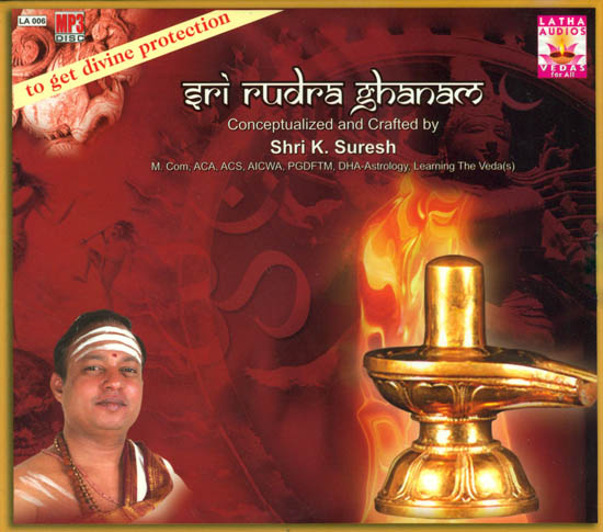Sri Rudra Ghanam: To Get Divine Protection (MP3 Audio CD)