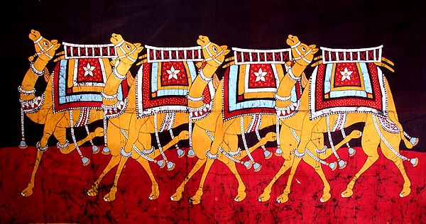Rajasthani Decorated Camels