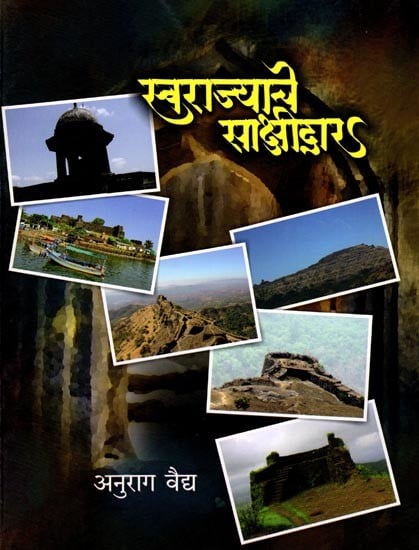 स्वराज्याचे साझीद्वार: The Gateway to Swarajya (Marathi)