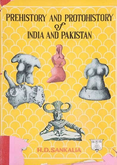 Prehistory And Protohistory of India and Pakistan (An Old and Rare Book)