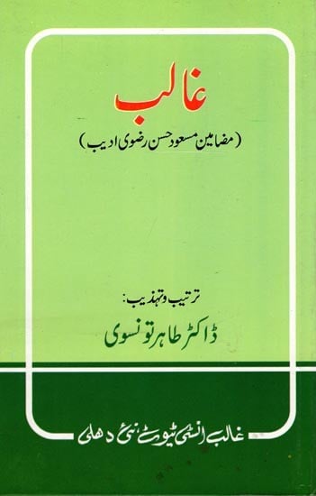 غالب (مضامین مسعود حسن رضوی ادیب)- Ghalib (Mazameen-E-Masood Hasan Rizvi Adeeb in Urdu)