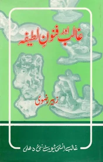 غالب فنون لطیفه- Ghalib Aur Funoon-E-Lateefa (An Old and Rare Book in Urdu)