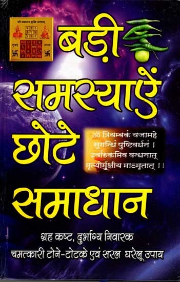 बड़ी समस्याएँ छोटे समाधान: Big Problems Small Solutions (Miraculous Tone Totke and Simple Home Remedies to Prevent Planetary Troubles and Misfortunes