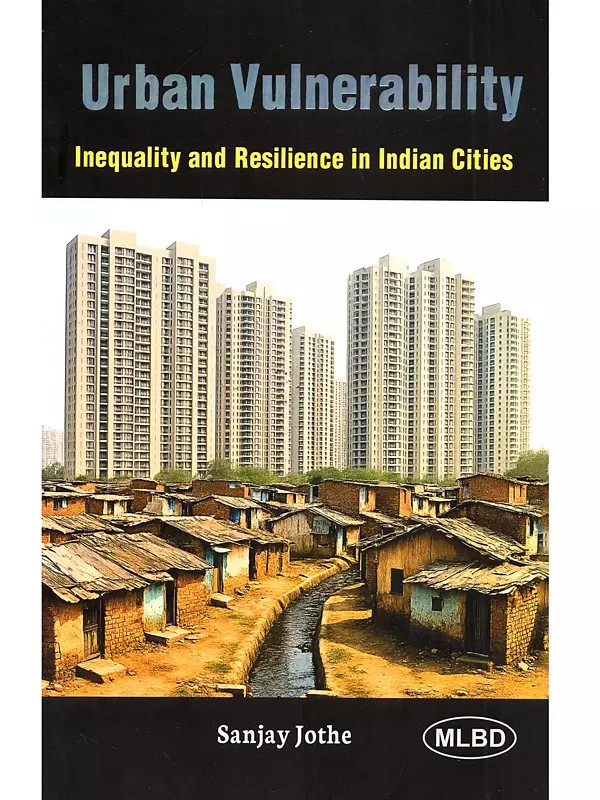 Urban Vulnerability: Inequality and Resilience in Indian Cities