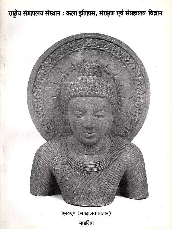 राष्ट्रीय संग्रहालय संस्थान : कला इतिहास, संरक्षण एवं संग्रहालय विज्ञान- National Museum Institute: Art History, Conservation and Museology