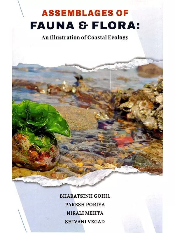 Assemblages of Fauna & Flora: An Illustration of Coastal Ecology