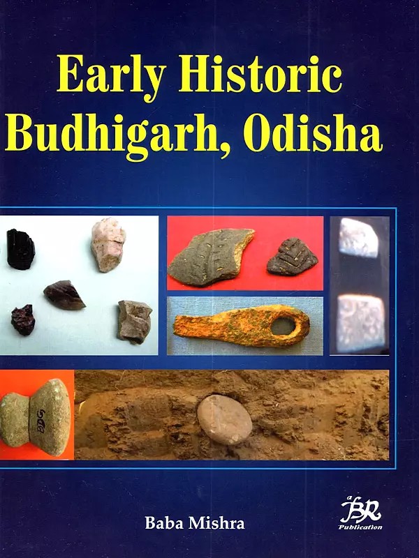 Early Historic Budhigarh, Odisha
