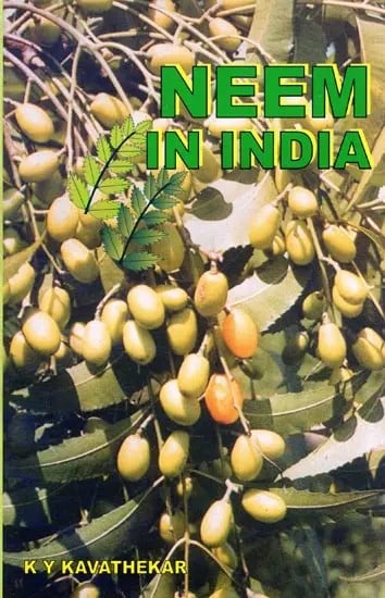 Neem in India