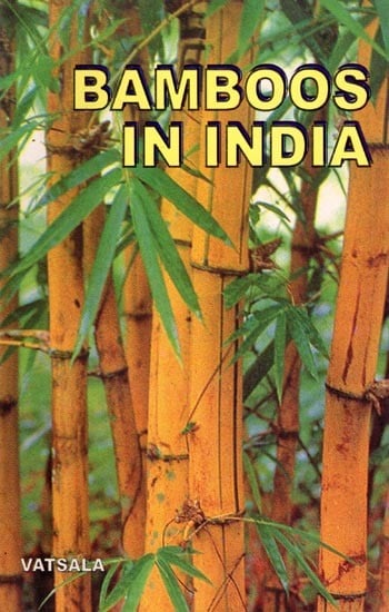 Bamboos in India