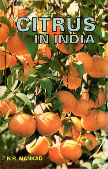 Citrus in India (An Old and Rare Book)