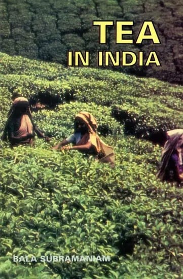 Tea in India