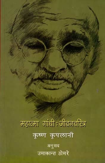 महात्मा गांधी : जीवनचरित्र: Mahatma Gandhi: Biography (Marathi)