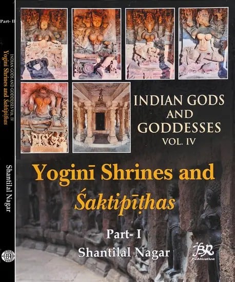 Indian Gods and Goddeses Vol. IV: Yogini Shrines and Saktipithas (Set of 2 Volumes)