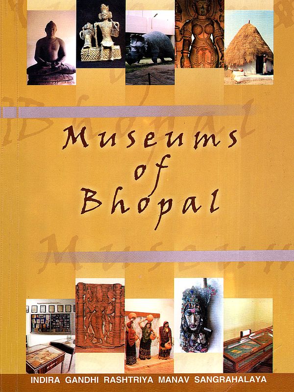 Museums of Bhopal