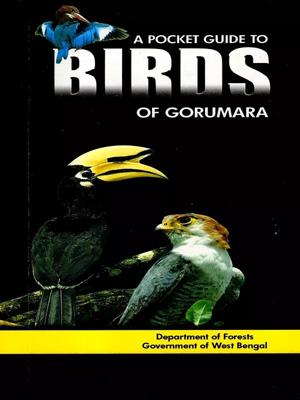 A Pocket Guide to Birds of Gorumara