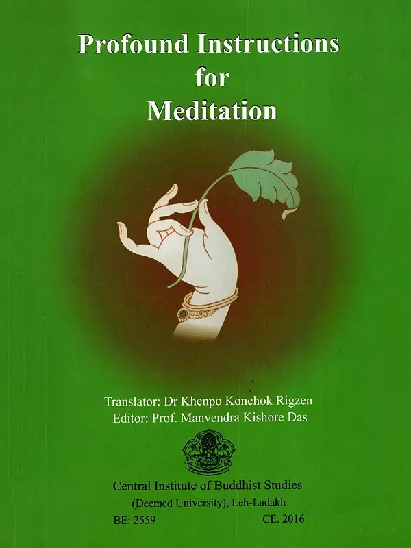 Profound Instructions for Meditation