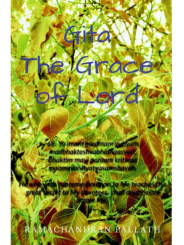 Gita -The Grace of Lord