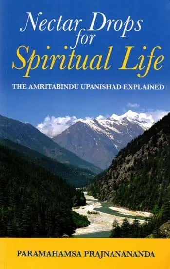 Nectar Drops for Spiritual Life: The Amritabindu Upanishad Explained