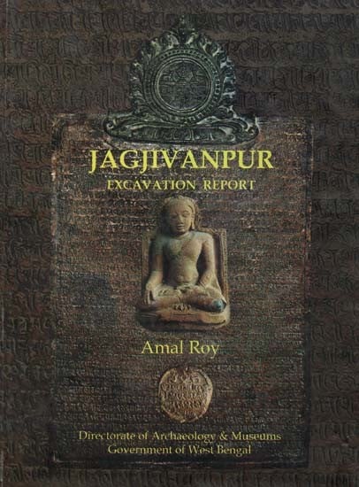 Jagjivanpur - 1996-2005 Excavation Report