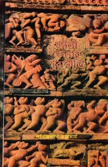 হুগলী জেলার পুরাকীর্তি: Antiquities of Hooghly District in Bengali (An Old and Rare Book)