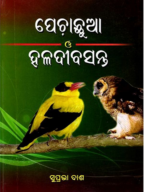 ପେଚାଛୁଆ ও ହଳଦୀବସନ୍ତ: Pilanka Gapa: Pechachhua 'O' Haladibasanta (Oriya)