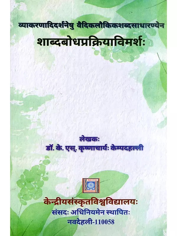 शाब्दबोधप्रक्रियाविमर्शः- Sabdabodhaprakriyavimarsah: Vyakaranadidarsanesu Vaidikalaukikasabdasadharanyena