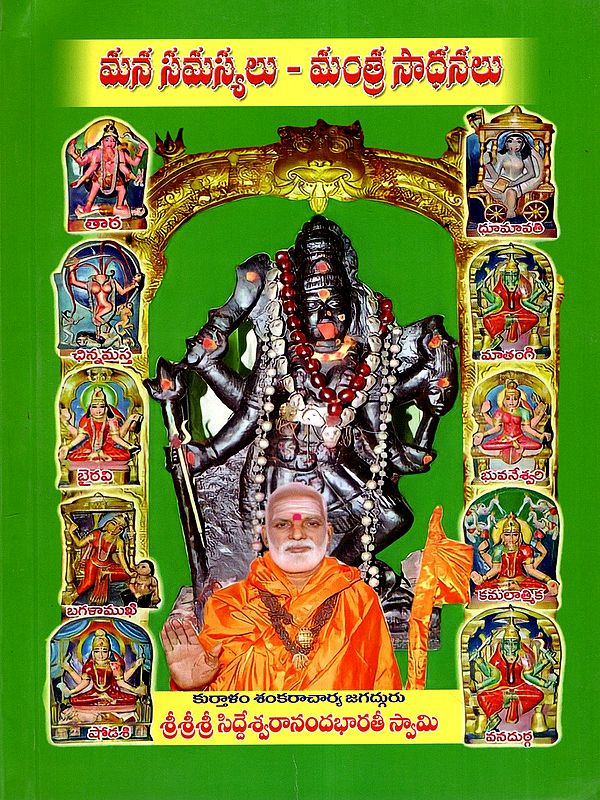 మన సమస్యలు మంత్ర సాధనలు: Mana Samasyalu Mantra Sadhanalu (Telugu)