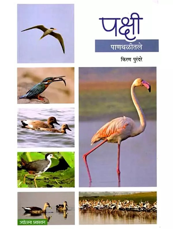 पक्षी पाणथळीतले: Birds in the Water (Marathi)